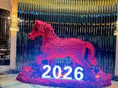 -上海闵行星河湾酒店