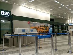 -米兰马尔彭萨国际机场