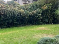 -老洋房花园饭店(绍兴路店)