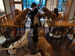 -萌喵咖啡屋(人民东路4号口M16商铺店)