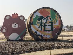 -嘉北郊野公园
