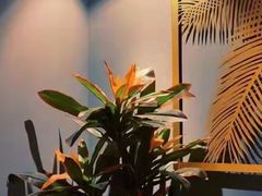 -得闲·高空SPA(东盟店)