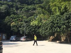 -鲤鱼塘农家山庄