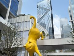 -深圳湾万象城(南山店)