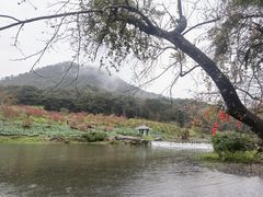 -广州市石门国家森林公园