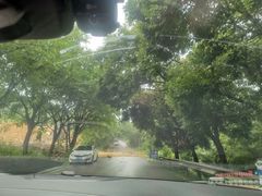 -铁山坪森林公园