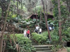 -铁山坪森林公园