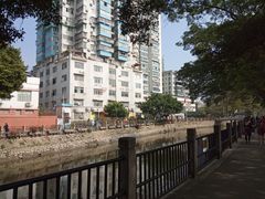 -晓港公园