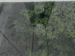 -天台山琼台仙谷景区