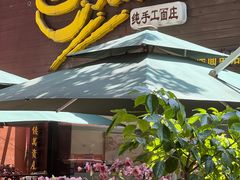 -老陈婆手工面庄