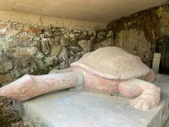 -上海佘山国家森林公园天马山园