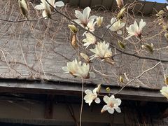 -出走咖啡·面包(宋庄店)