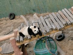 -沈阳森林动物园