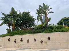 -白石龙音乐公园