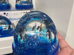 -上海海昌海洋公园