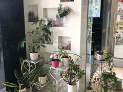 -熊猫邮局(少城店)