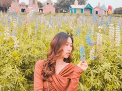 -松山湖梦幻百花洲