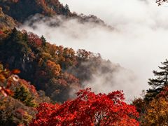 -少华山国家森林公园