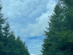 -草原天路(张北县)