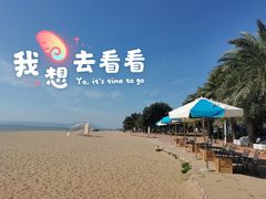 -椰风寨