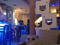 大堂-Sirena海妖日咖夜酒