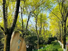 -西南政法大学(渝北校区)