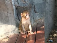 -石燕湖生态旅游景区