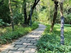 -燕晗山郊野公园
