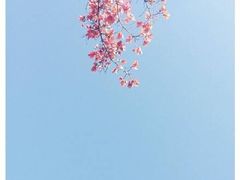 -椒行天下·干锅·牛蛙(万宝店)