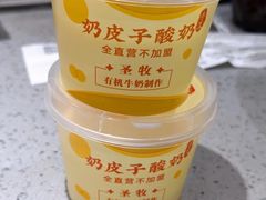 -紫光园(燕郊总店)