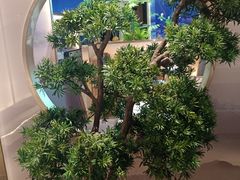 -马家斑.鲜鱼火锅(松湖万科店)