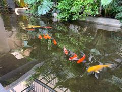 -漫笙舍Manse·咖啡·民宿