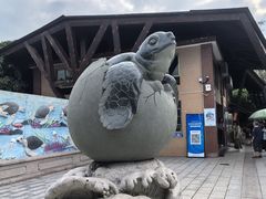 -广东惠东海龟国家级自然保护区
