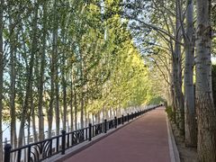 -党河风情线国家水利风景区