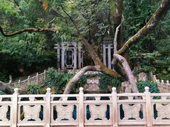 -蝴蝶泉公园