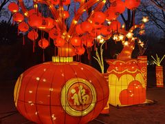 -南宫五洲植物乐园