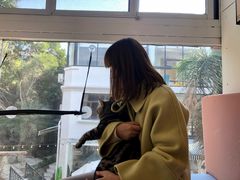 -有猫主题·治愈系猫咖(曾厝垵店)