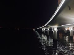 -演武大桥观景平台