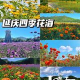 北京花海🌺金秋十月赏花攻略㊙️