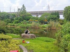 -美兰湖景区