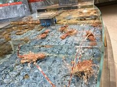 -顺风山庄(水濂山店)