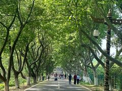 -宜兴龙背山森林公园