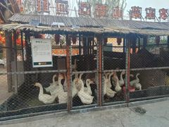 -鱼窝棚柴火铁锅炖(富山屯店)