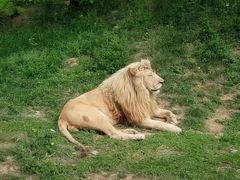 -石家庄市动物园