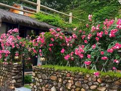 -八大关景区