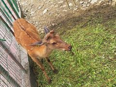 -鹿院坪生态旅游景区