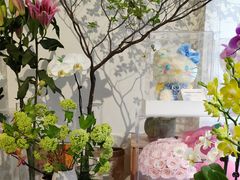 -Gigi Florist·Dk Coffee