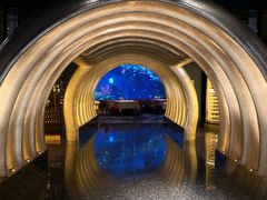 -迪拜帆船酒店海底餐厅