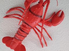 -盱眙虾怪·旗舰店