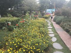 -马帮寨院坝火锅(龙港公园店)